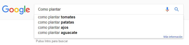Google: Cómo Plantar