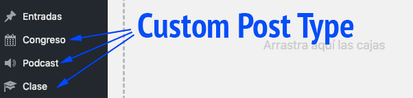 Custom Post Type